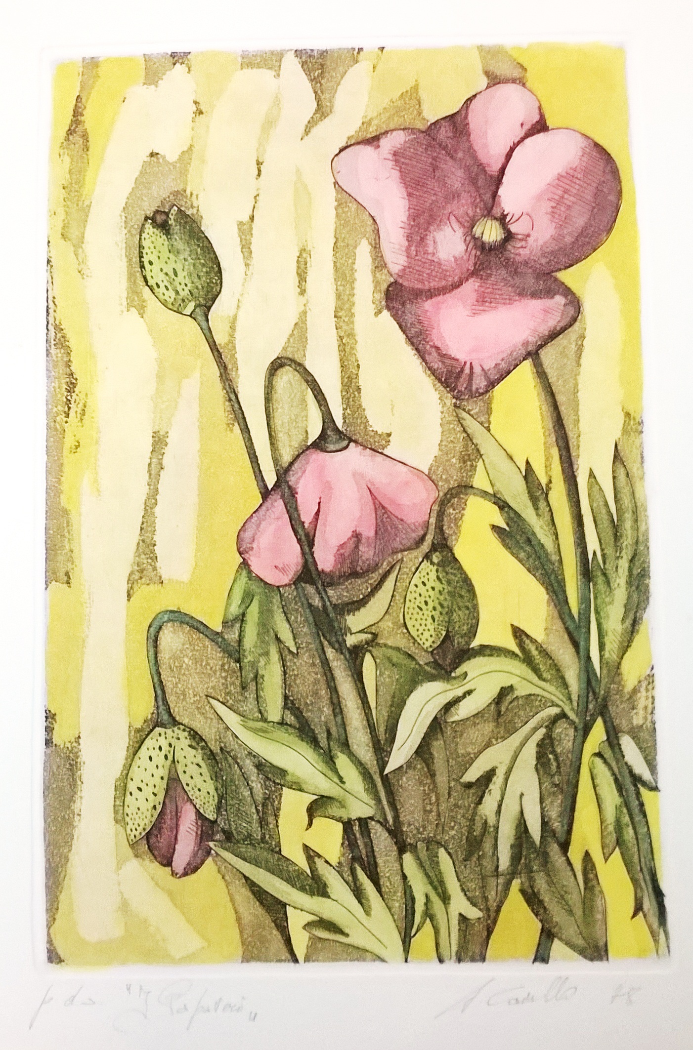 Papaveri Acquerellati