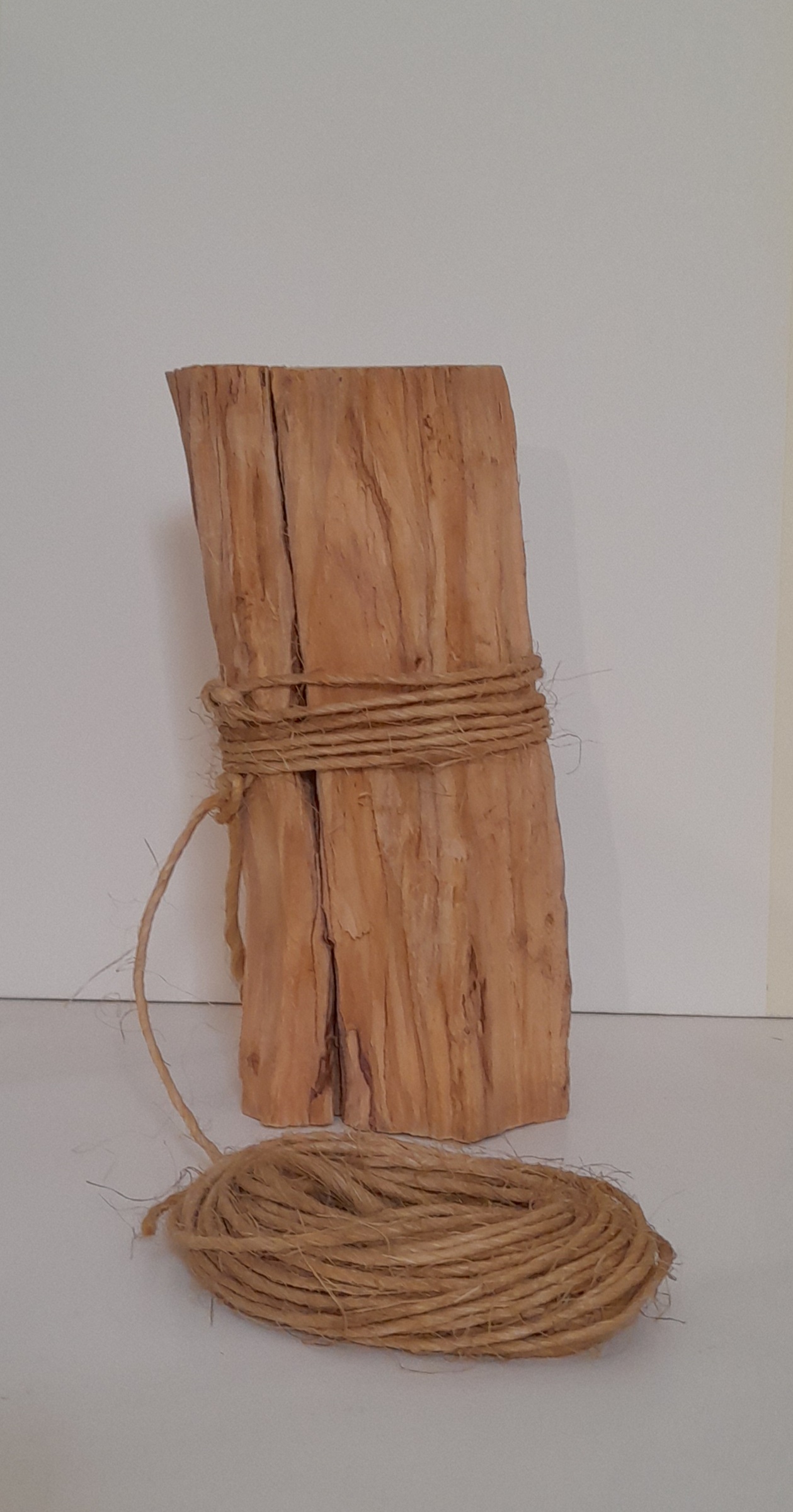 Schegge Odorama Dream